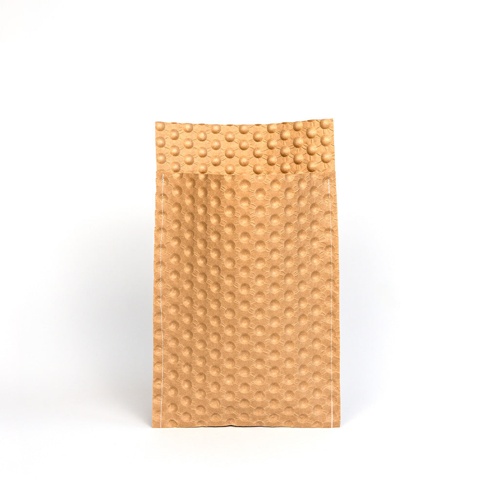 PapairBag einlagig - 16,2 x 22,9cm - 10er Pack